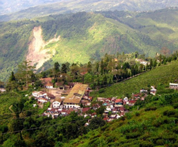 Area to Visit- Kurseong