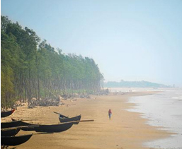 Area to Visit- Tajpur